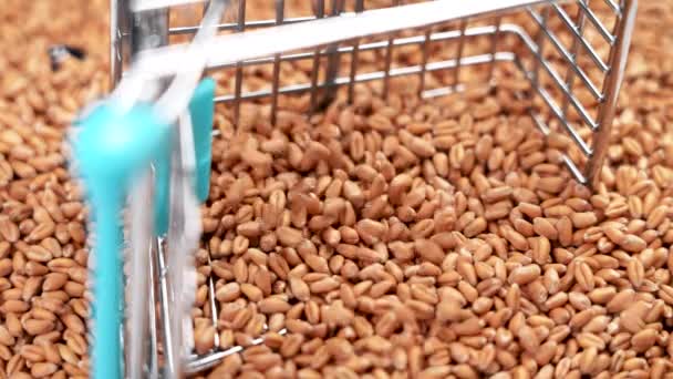 Wheat Seeds Falling Fallen Supermarket Cart Pile Grains Rise Food — Vídeos de Stock