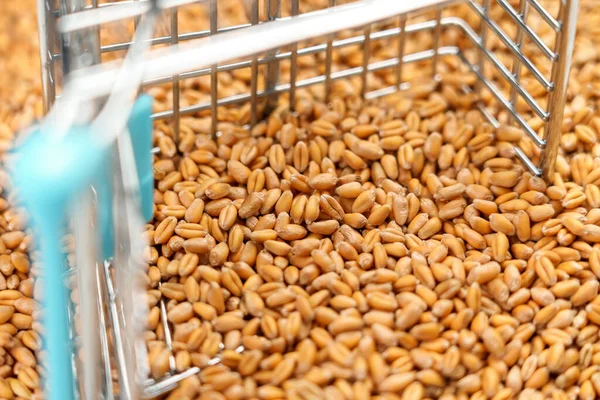 Wheat seeds with fallen supermarket cart in a pile of grains. Rise in food prices due to the food crisis concept