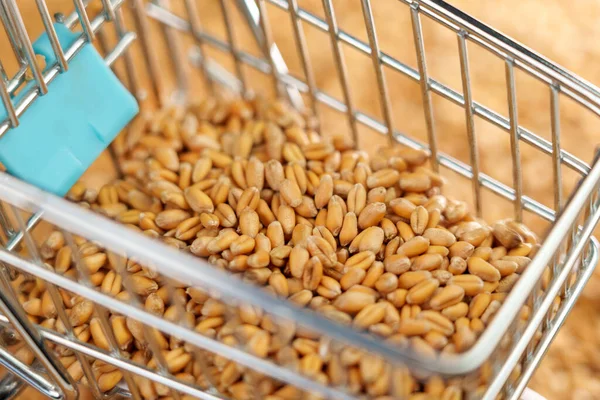 Wheat grains with mini supermarket cart close up. Agriculture and food crisis concept