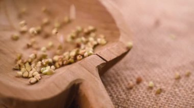Whole grain green buckwheat seeds pouring into a rustic wooden bowl in slow motion on a burlap cloth. Agriculture fertility and abundance harvest concept