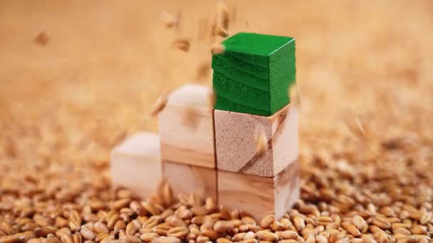 Whole Grain Wheat Seeds Falling Pyramid Toy Wooden Cubes Close — Wideo stockowe