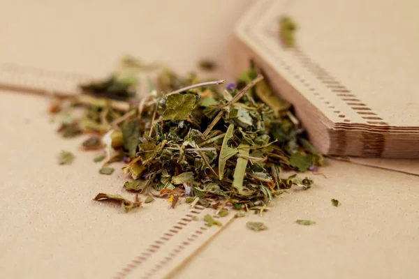 Yeni biyolojik çözünebilir infüzyon torbalarında kurutulmuş bitki çayı. Kapatın.