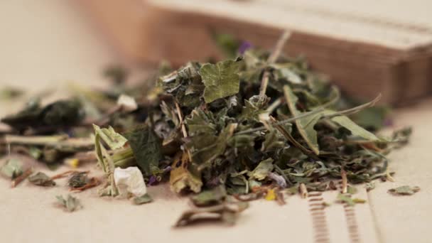 Сушеный Травяной Зеленый Чай Новых Биоразлагаемых Мешках Infuser Близко Вращение — стоковое видео