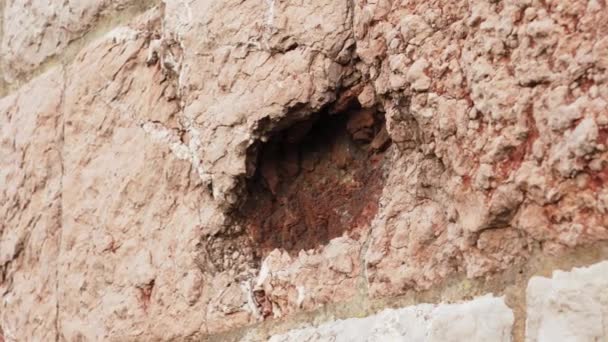 전쟁중 대포의 포격으로 구멍이 껍질을 클로즈업 건물에 — 비디오