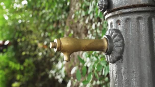 优雅的城市公共饮水机 在自然公园里有一个湿淋淋的水龙头 用水滴阀门 — 图库视频影像
