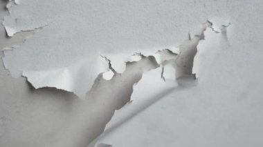 Banyo tavanına su ve nemden beyaz boya dökülüyor. Felaket ve çatıdaki bozulmanın sonucu.