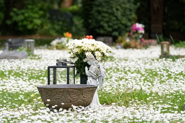 small urn grave with angel in a spring meadow covered with daisies
