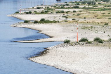 Ren 'de Groynes, alçak sularda parfümün yanında.