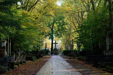 Sonbaharda kolonyadaki tarihi mezarlıkta melaten.