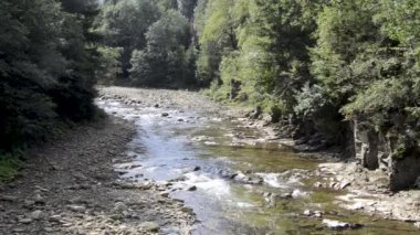 Kayalık nehrin ormanda akışının görüntüleri