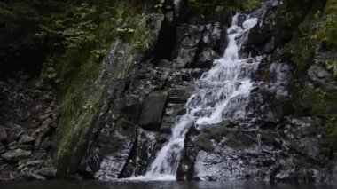 Şelalenin görüntüleri, yeşilliklerle çevrili kayalardan düşen su.