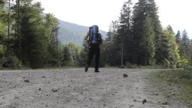 Yürüyüşçünün ormana yürüyüşünün arka plan görüntüleri.  