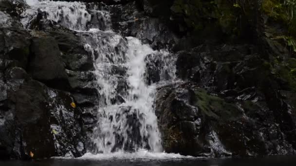 瀑布的镜头 岩石上掉下来的水 — 图库视频影像