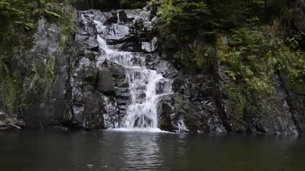 Şelalenin Görüntüleri Yeşilliklerle Çevrili Kayalardan Düşen — Stok video