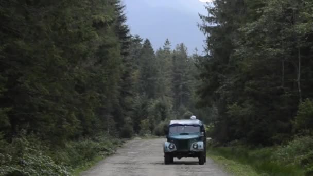 古い車が森の未舗装道路を移動し — ストック動画