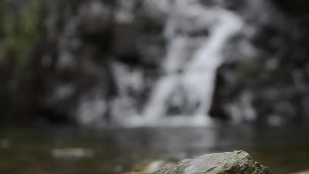 Materiał Filmowy Skale Wodospadzie Nieostrym Tle — Wideo stockowe