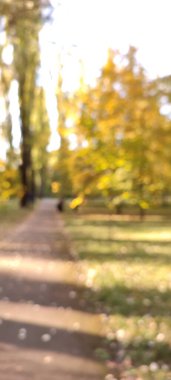 Autumn Park sahnesinin odaklanmış görüntüsü