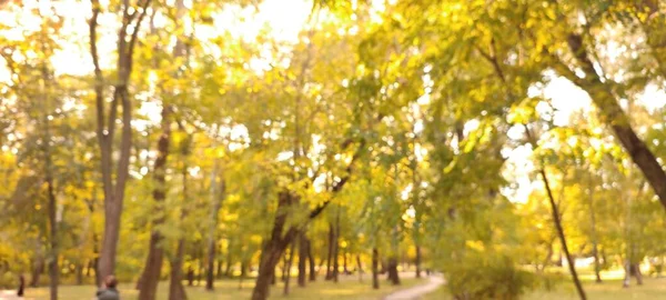 Tiro Desfocado Cena Parque Outono — Fotografia de Stock