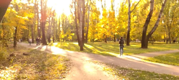 Defocused Shot Van Herfst Park Scene Met Wandelende Persoon — Stockfoto