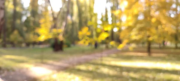 Defokussierte Aufnahme Der Herbstlichen Parkszene — Stockfoto