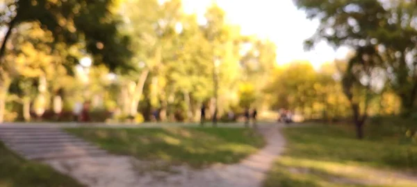 Defokussierte Aufnahme Der Herbstlichen Parkszene — Stockfoto