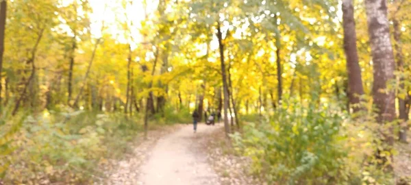 Rozostřený Záběr Scény Podzimního Parku Chodící Osobou — Stock fotografie