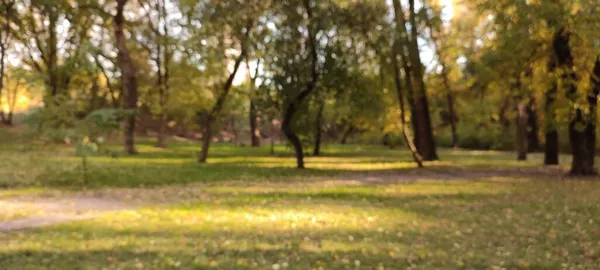 Tiro Desfocado Cena Parque Outono — Fotografia de Stock