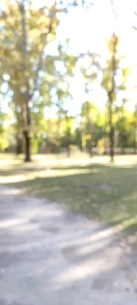 Tiro Desfocado Cena Parque Com Árvores — Fotografia de Stock