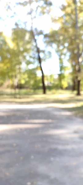 Plano Desenfocado Escena Del Parque Con Árboles — Foto de Stock