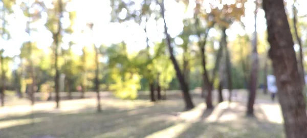 Defokussierte Aufnahme Einer Parkszene Mit Bäumen — Stockfoto