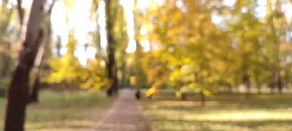 Обезглавленный Снимок Сцены Осеннем Парке — стоковое фото