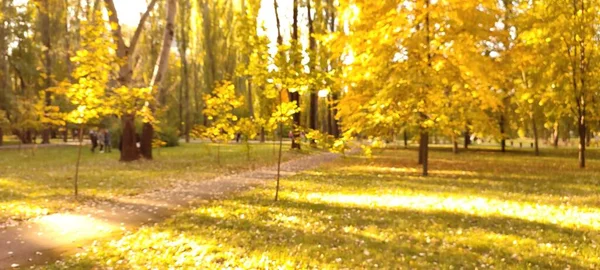 Defocused Shot Autumn Park Scene — Stock Photo, Image