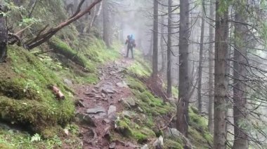 footage of hiker walking on pathway in misty forest 