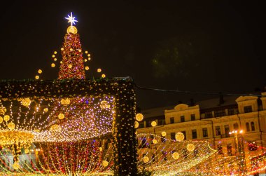 christmas decorations and tree illuminated at night