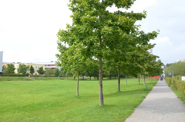 Gatuvy Över Den Moderna Staden — Stockfoto