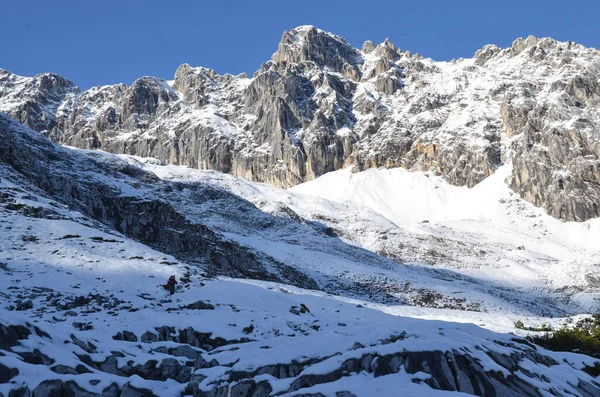 Paysage Avec Montagnes Enneigées — Photo