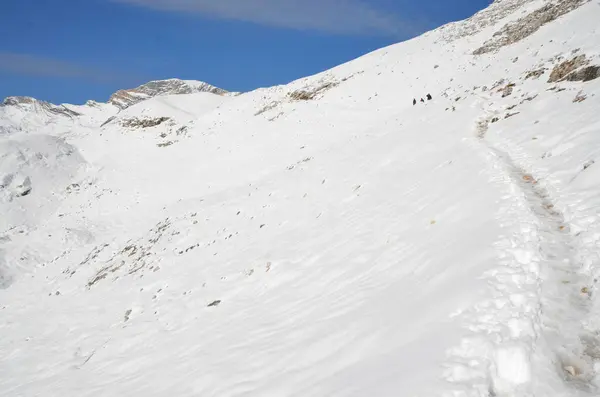 Paisaje Con Montañas Cubiertas Nieve — Foto de Stock