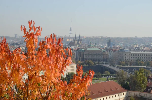Вид Города Старый Город Чехия — стоковое фото