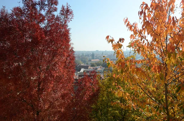 Prachtig Uitzicht Stad Van Het Oude Praag Tsjechië — Stockfoto