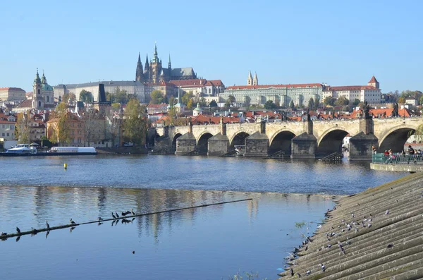 Vista Praga Con Río Edificios República Checa — Foto de Stock