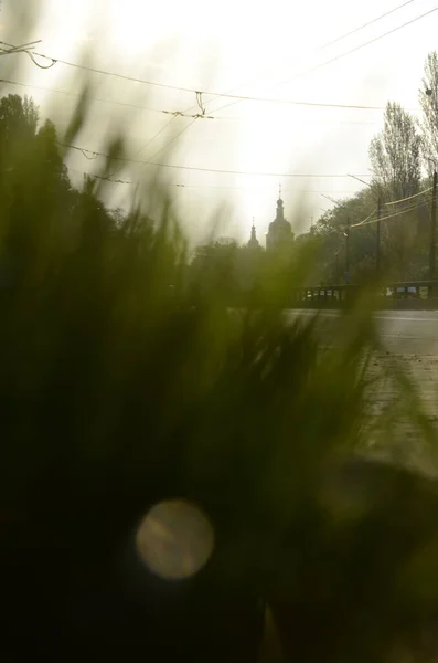 우크라이나 키예프 잔디닫기 — 스톡 사진