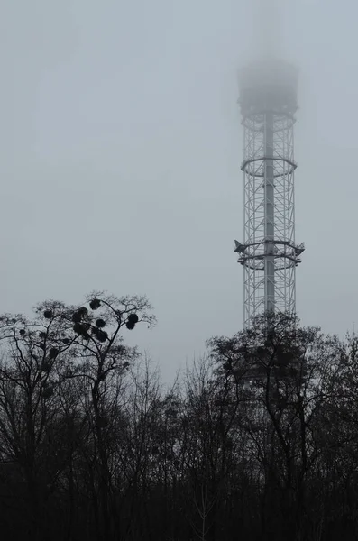 Kiew Ukraine Metallturm Rohr Für Radio Und Fernsehübertragung — Stockfoto