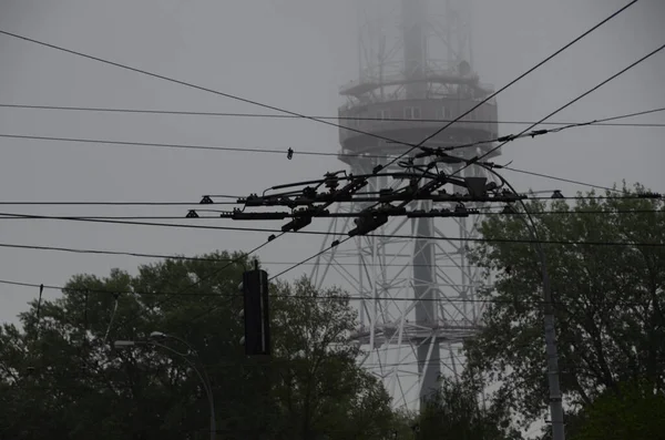 乌克兰基辅 无线电和电视广播用金属塔 — 图库照片
