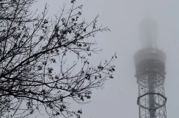 Kiev Ucrânia Torre Metal Tubo Para Radiodifusão Televisão — Fotografia de Stock