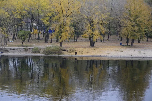 公园里的湖景很美 — 图库照片