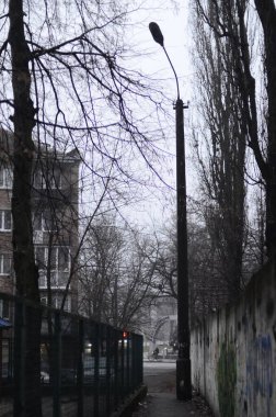 Kyiv, Ukrayna. şehir konsepti, şehir parkı manzarası 