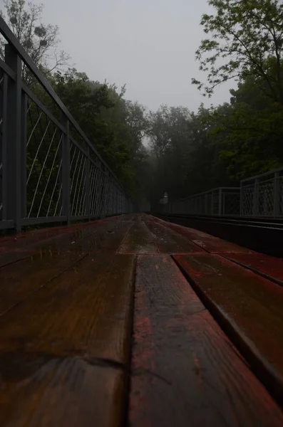 Kyjev Ukrajina Železniční Trať Parku Dětská Železnice Městský Koncept — Stock fotografie