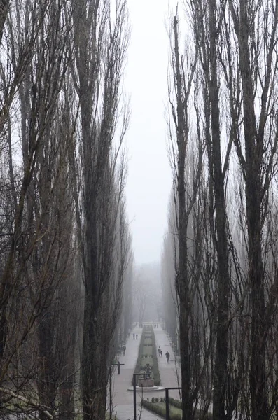 Kyiv Ukrayna Şehir Konsepti Sokak Manzarası — Stok fotoğraf