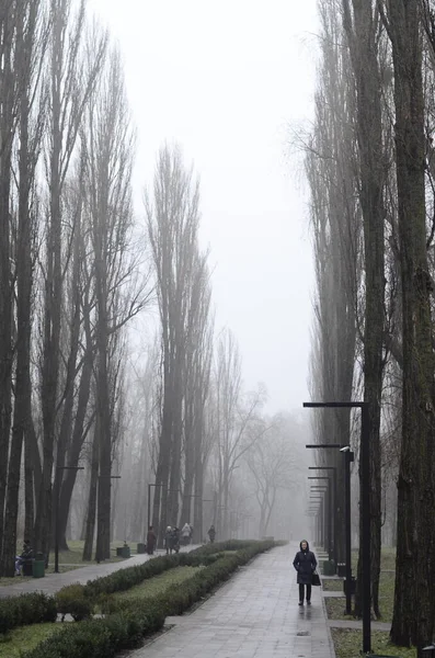 Kyiv, Ukrayna. şehir konsepti, şehir parkı manzarası 