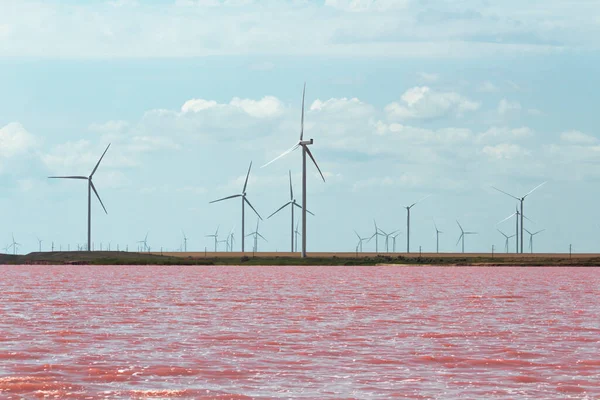 Pink LakeSivash, Ukraine. This lake turns pink in summer cause of red pigments. Royaltyfria Stockbilder